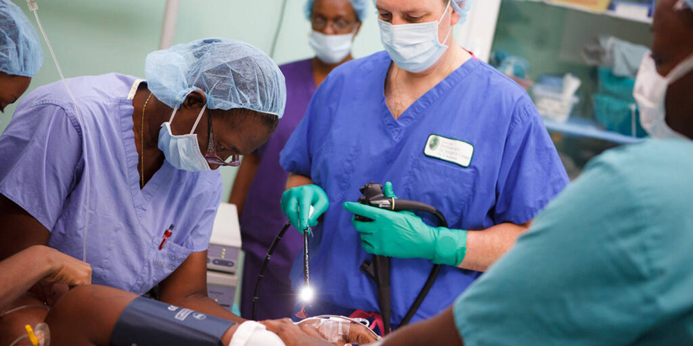 What Is a Gastroenterologist? Examining This Important Medical Specialty