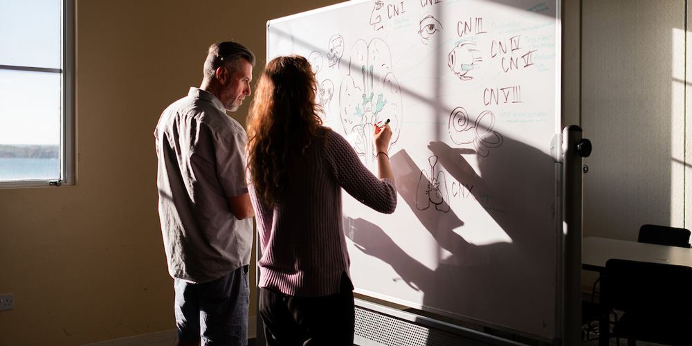 Medical school curriculum