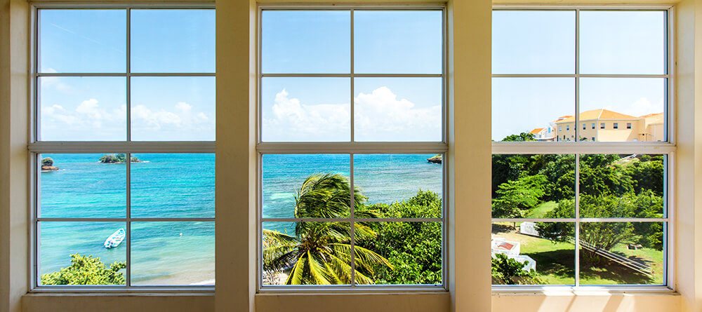 Window view
