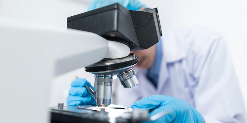 What Does a Pathologist Do? A Look Inside Life as a Disease Expert