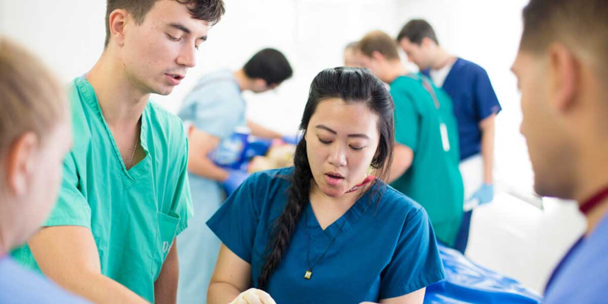 Pre-Med Student Resources for Applying to Medical School